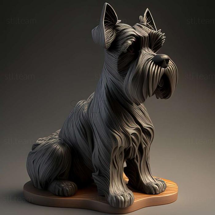 Zwergschnauzer dog